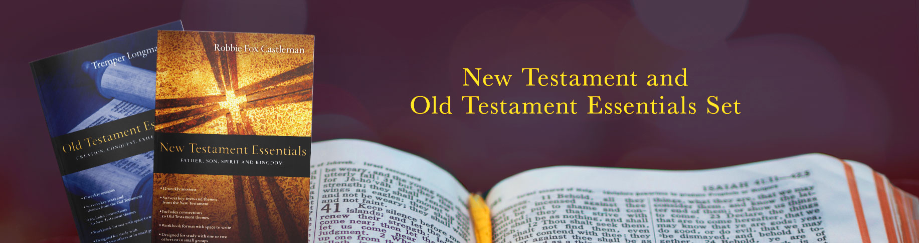 Old and New Testament Essentials Set
