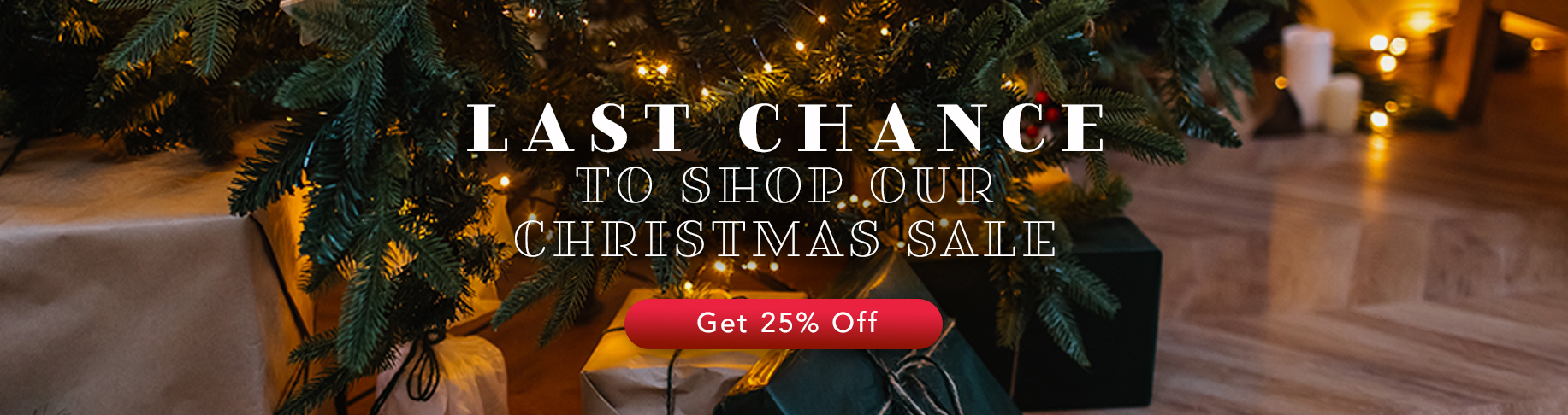 Last Chance to Shop Our Christmas Sale - Get 25% Off