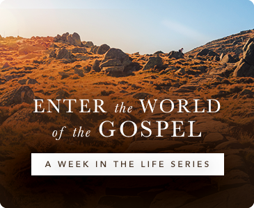 A Week in the Life Series