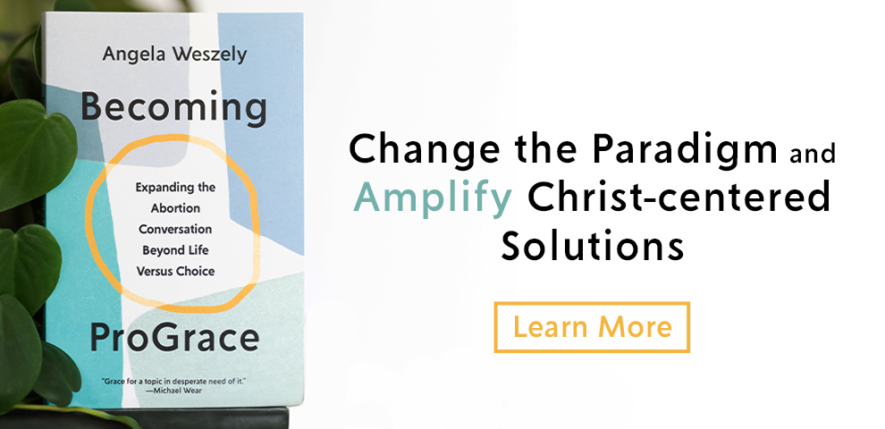 Change the Paradigm and  Amplify Christ-centered Solutions - Learn More