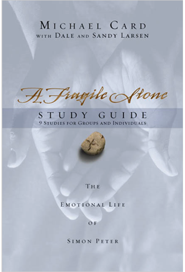 A Fragile Stone Study Guide
