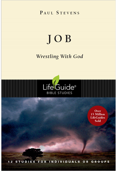 Job: Wrestling With God, By Paul Stevens