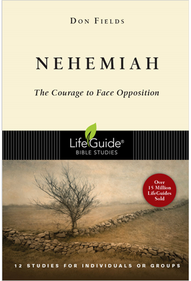 Nehemiah: The Courage to Face Opposition, By Don A. Fields