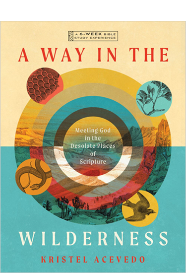 A Way in the Wilderness: Meeting God in the Desolate Places of Scripture--A 6-Week Bible Study with Video Access, By Kristel Acevedo