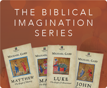 The Biblical Imagination Series