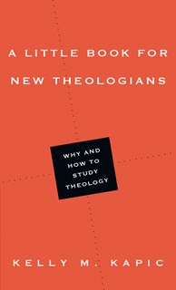 A Little Book for New Theologians