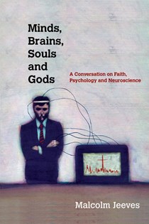 Minds, Brains, Souls and Gods