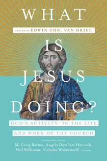 What Is Jesus Doing?: God's Activity in the Life and Work of the Church, Edited by Edwin Chr. van Driel