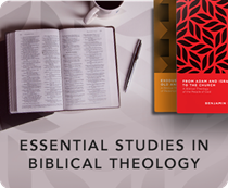 Essential Studies in Biblical Theology