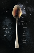 A Prayer for Orion: A Son's Addiction and a Mother's Love, By Katherine James