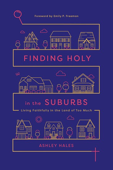 Image result for Finding Holy in the Suburbs.