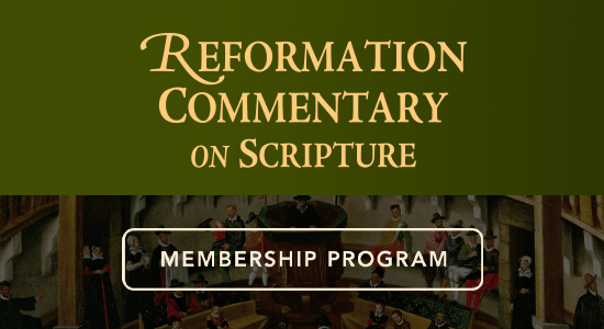 Study Scripture Through the Eyes of the Reformers, One Volume at a Time 